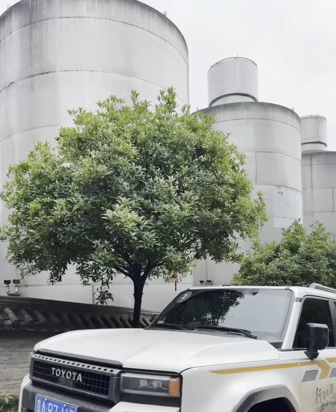 丰田普拉多50多万的车，这就是用塑料的。聊车首先要懂车，要了解这个车是干什么