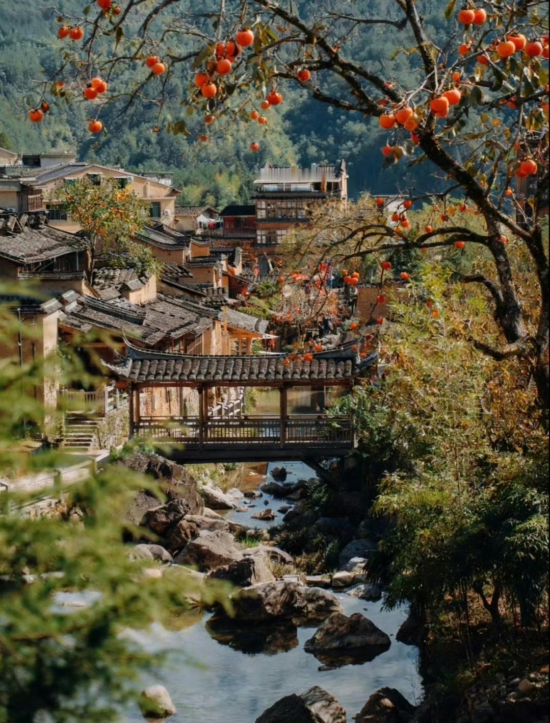 一半烟火，一半秋偶然刷到这组古村照片，一下子就看呆了。黄墙黑瓦的老房