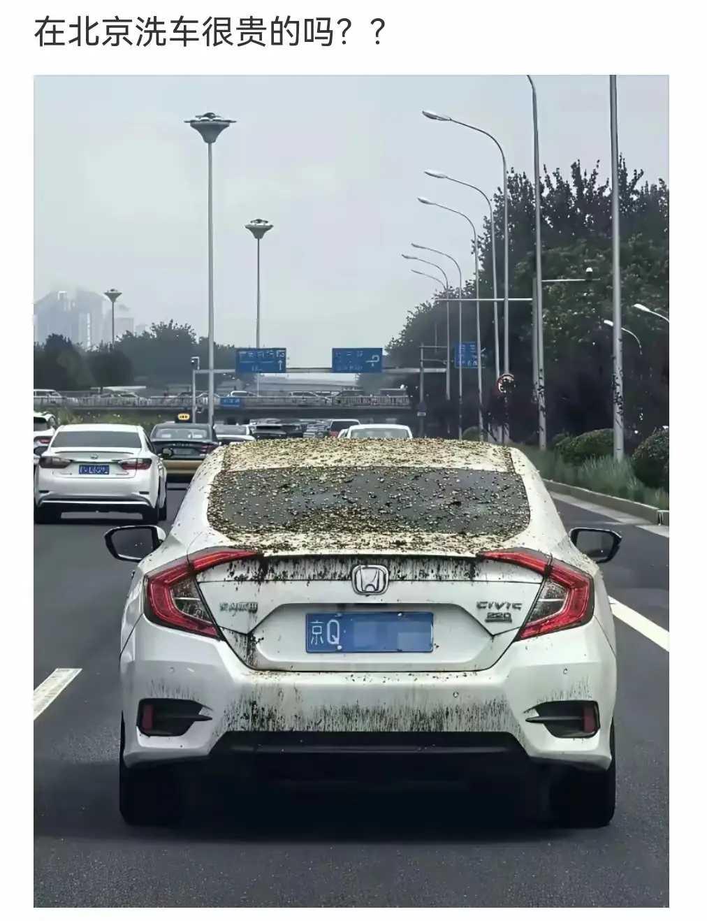 要么很贵，要么很懒，要么很忙