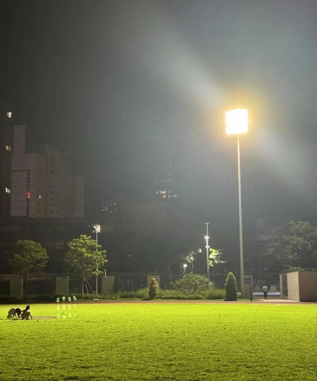 满分作文——《我与我，周旋久》成长是场漫长的拉锯战，对手不是别人，恰