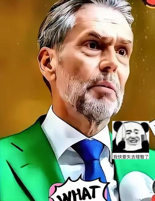 都以为稀土管制能按住荷兰，没想到人家反手就把中低端DUV光刻机也禁了，连老设