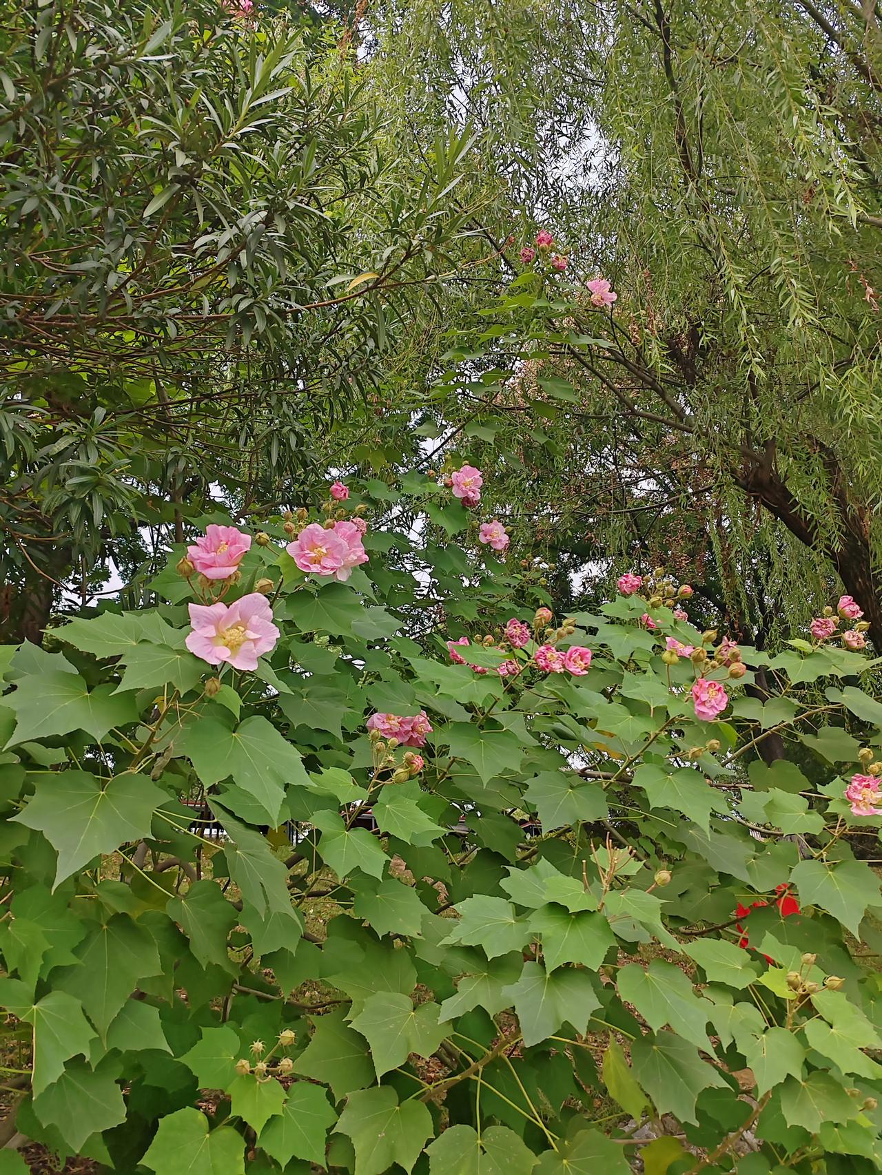 我打了老婆一巴掌，亲手毁了我的家那天，我为了护着大姐，狠狠甩了老婆一巴掌。