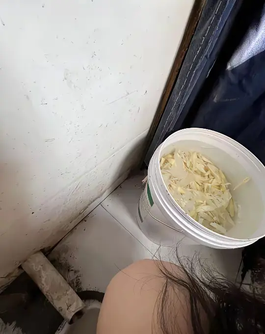饭店的厕所真的让我见识了