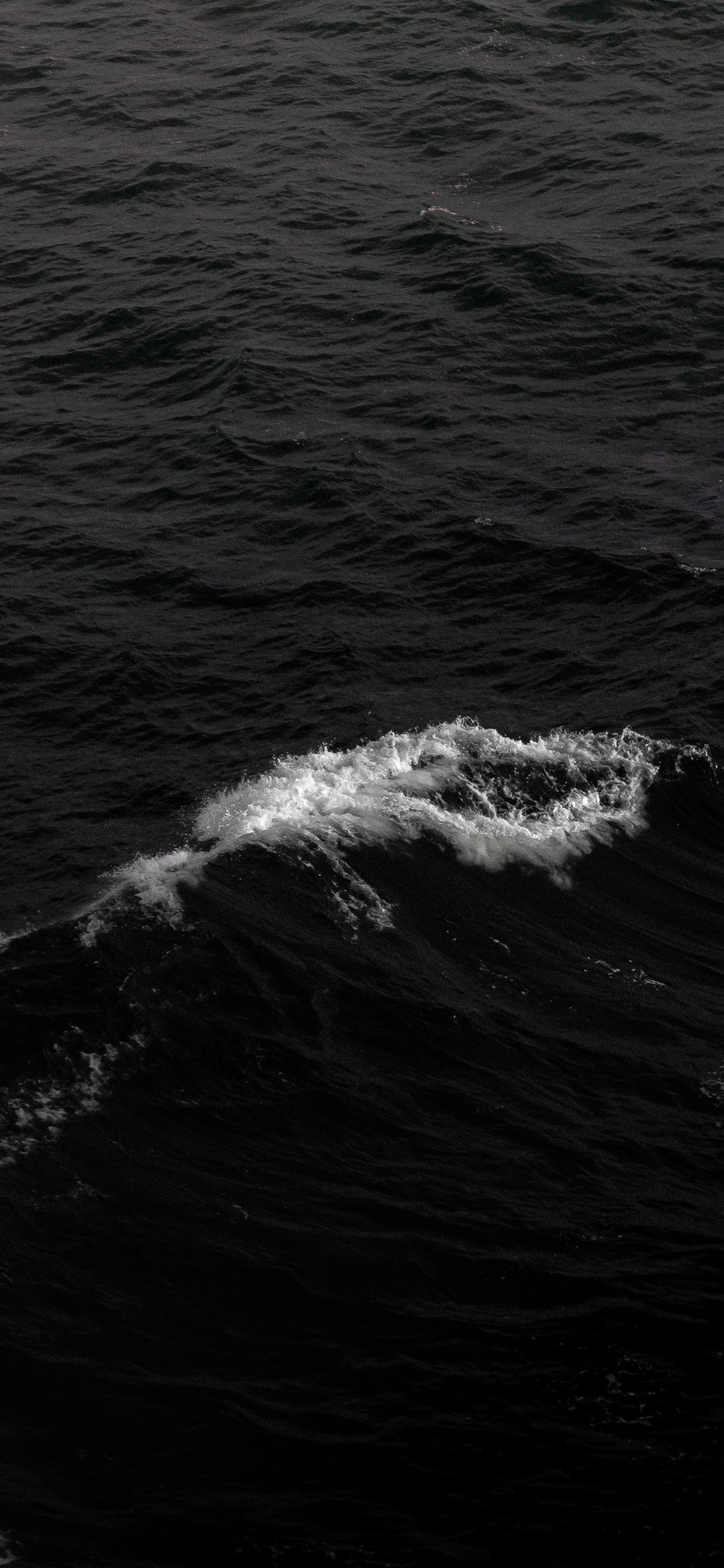 二月的第一天，早呀风景壁纸