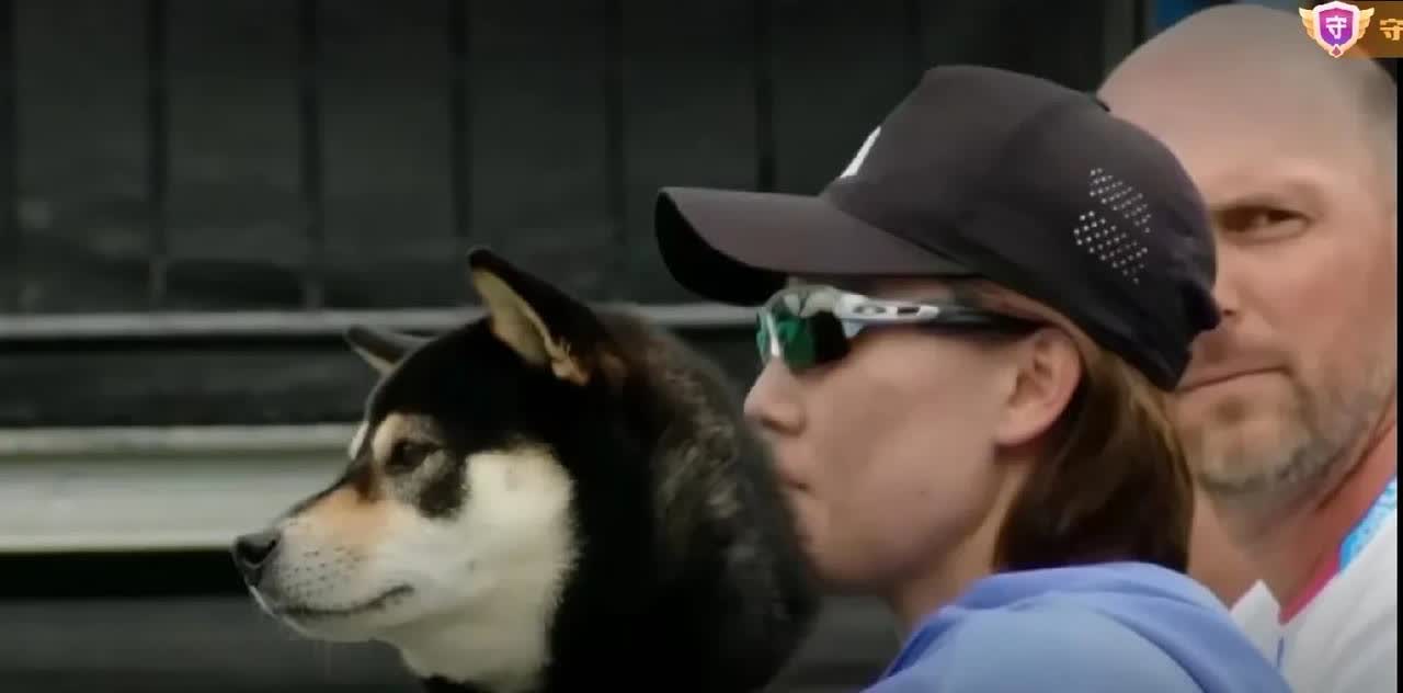 奇闻，郑赛赛抱了一只猎犬在比赛现场！王欣瑜和澳大利亚选手的决胜盘因为赛场