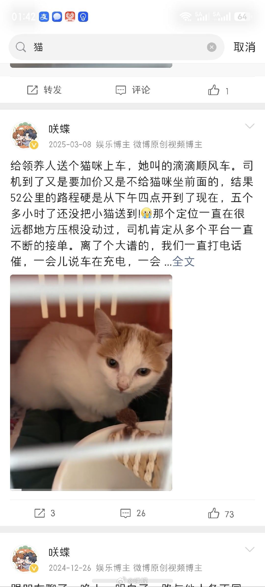 一年多一点，小猫还是被退养了领养人说她胆小，养不熟，说要给我送回来，不然就放她去
