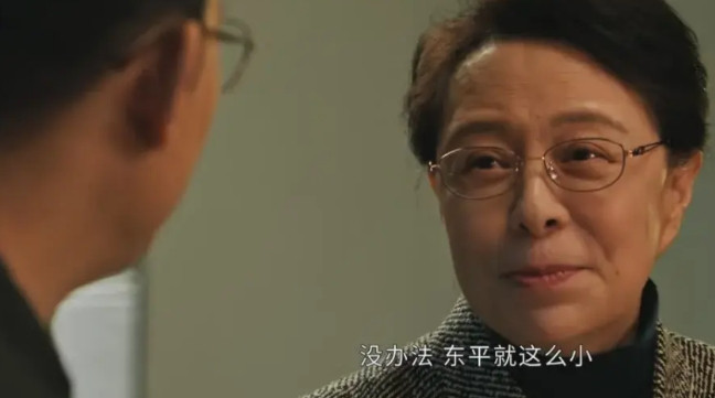 《以法之名》原以为洪亮有个省政协副主席的老丈人已经够牛了，没想到李人俊的老婆的一