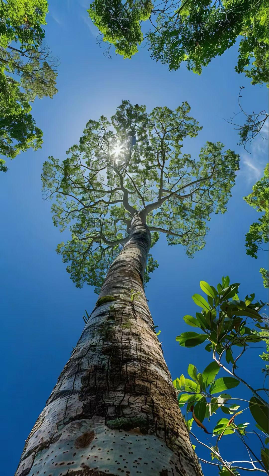 晒晒你拍夕阳西下时的美丽景色