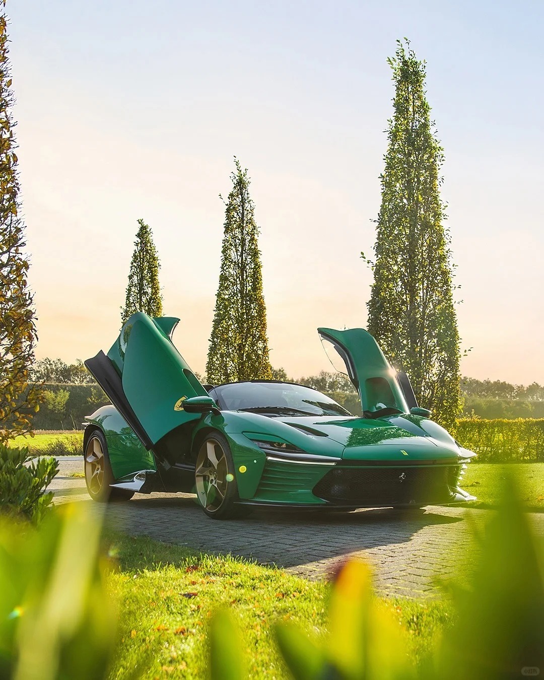这辆法拉利的绿色好看的有点超过了，让人开始期待春天了绝美车片​​​