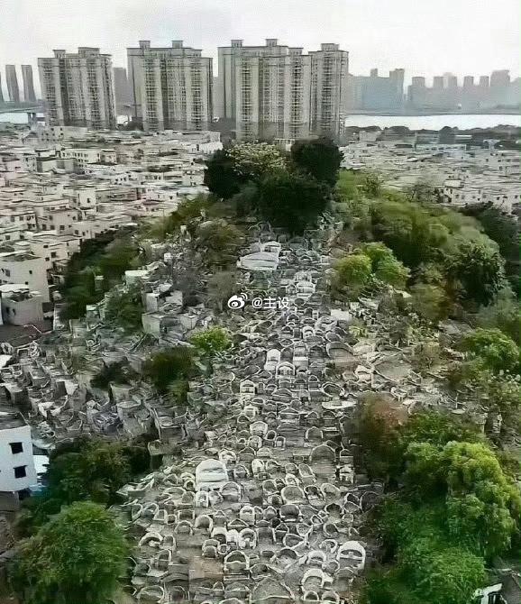 这就是多年后土葬的结果！