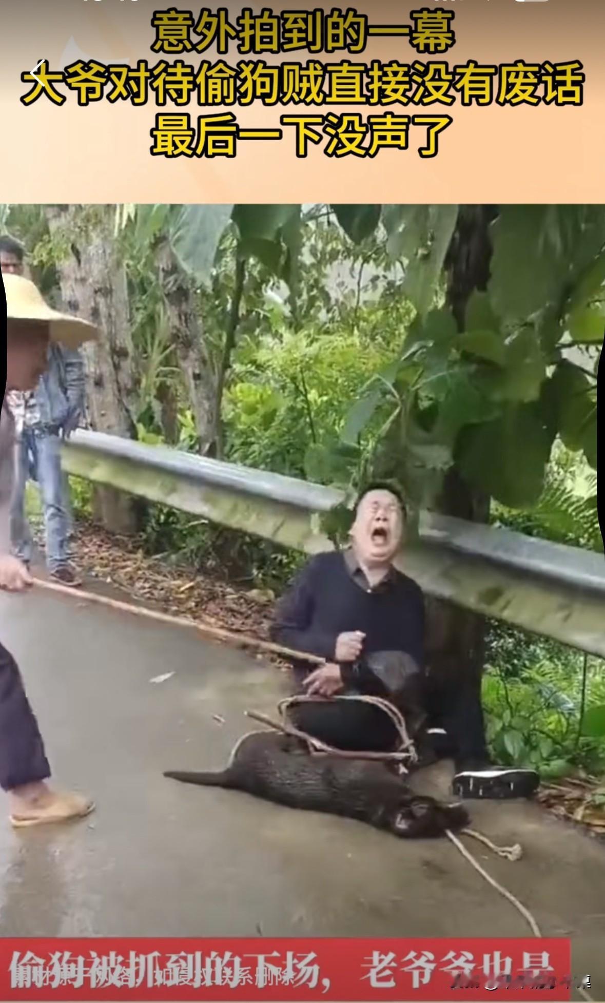 一男子偷狗被狗主人抓住，狗主人把男子的手绑了起来，然后用棍子狠狠的打男子！最后