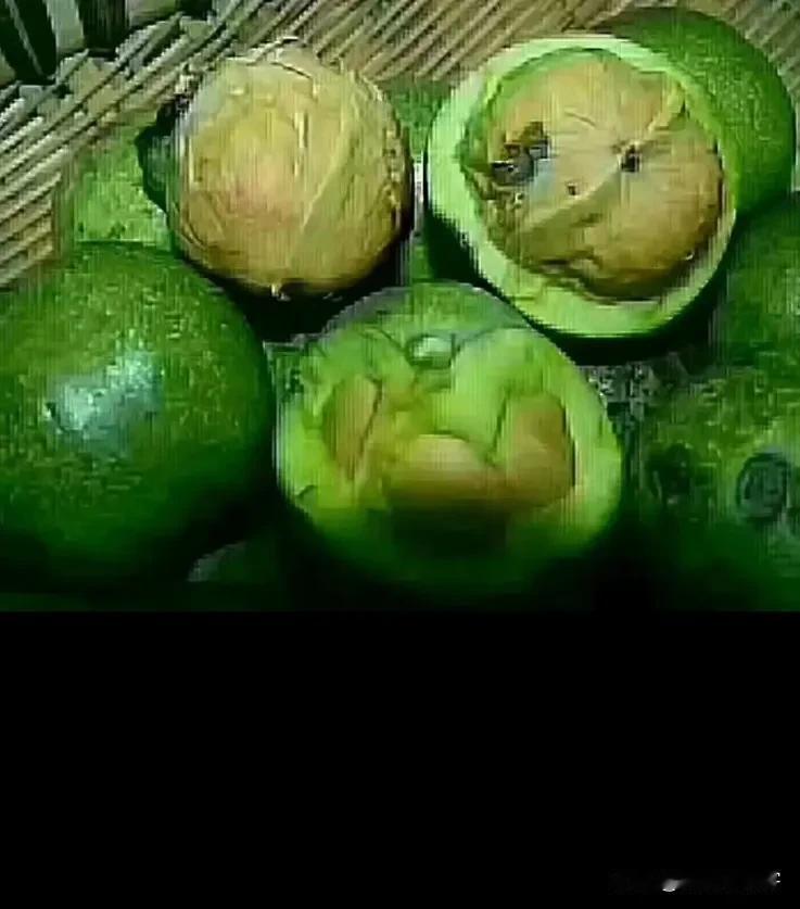 讲个真实笑话吧[笑着哭]有个外地朋友说想吃特产，我就给寄了一箱青皮核桃，谁料收