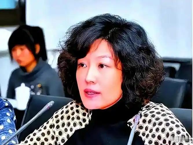 定居美国的哈文恐怕压根没想到，自己只当了三届春晚总导演，竟让14亿中国人连续12