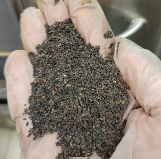 阳痿早泄——恩师留下的金方，我只发1次，建议永世保存！我临床行医