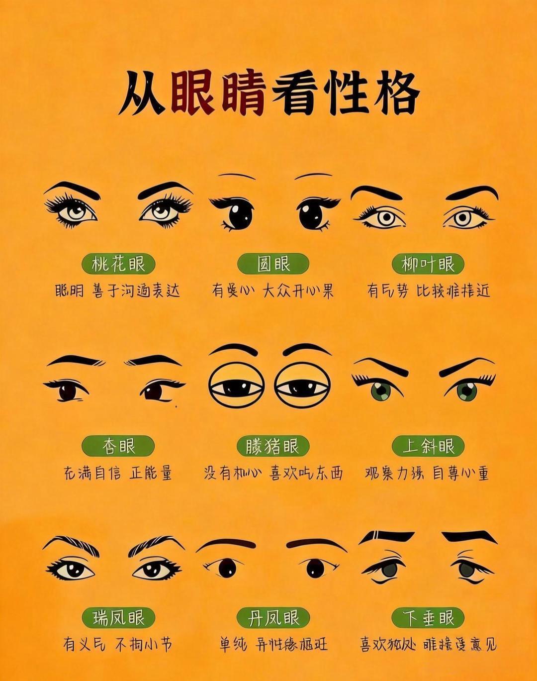 对号入座：眼型和性格。快来看看你是哪一种～我先说，我是杏眼，充满自信正能量，你们