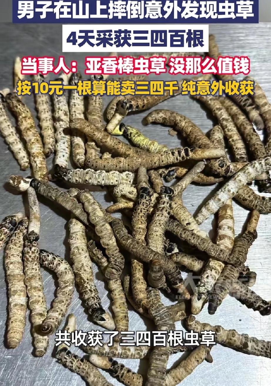 羡慕哭了！羡慕哭了！贵州开阳，一位男子在山上不小心摔了一跤，没想到这一摔，竟然“