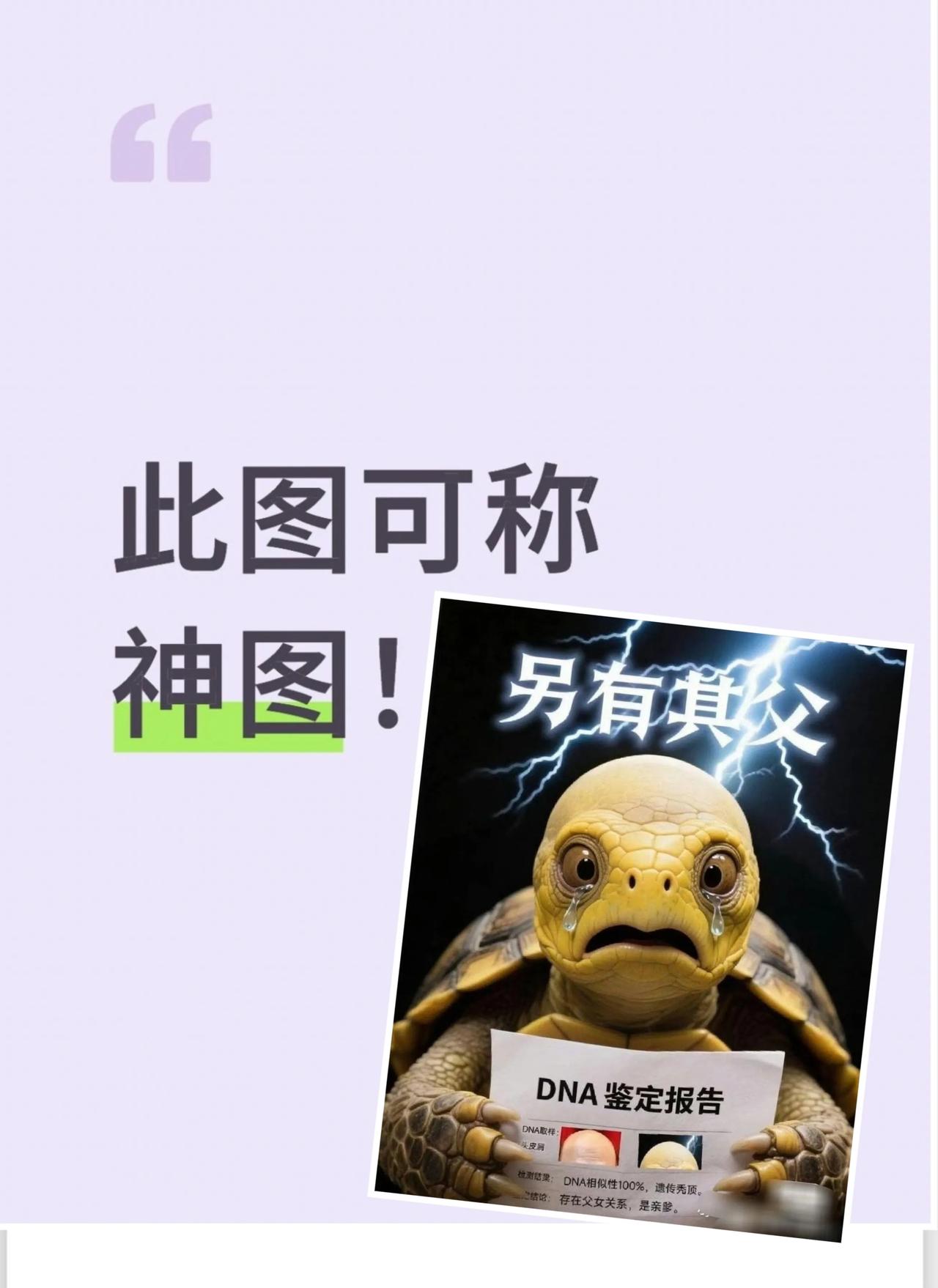 神图啊神图！网友太有才了，此图可谓神还原[赞]。们🐢终于认祖归宗，从此此身
