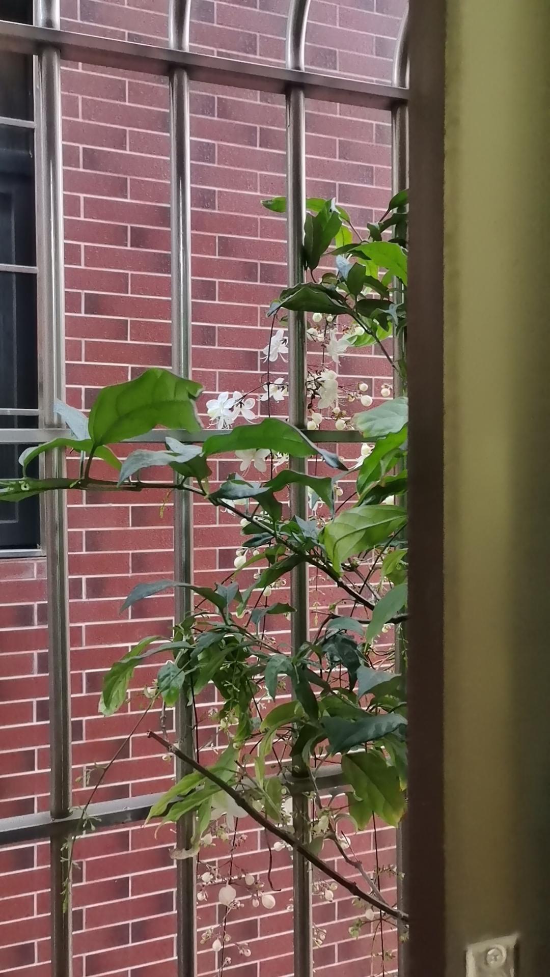 下周真“黄金坑”！风来了，越跌越买！比电力、航天好！特钢、特钢，为啥？1、