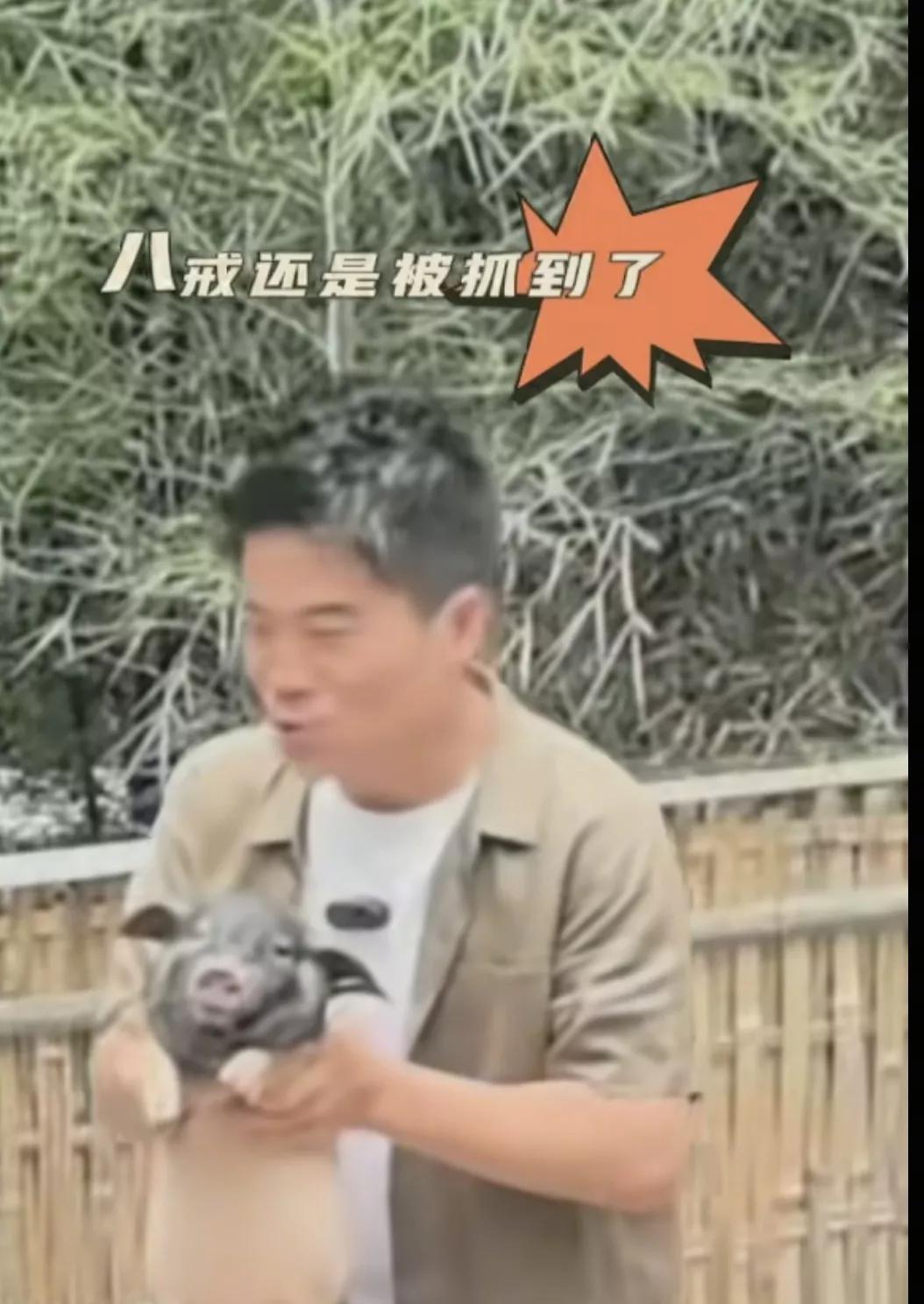 董宇辉，你咋跑去猪圈抓猪去了，看把龙洋吓得，你还在那笑不停。龙洋都急了：你别、