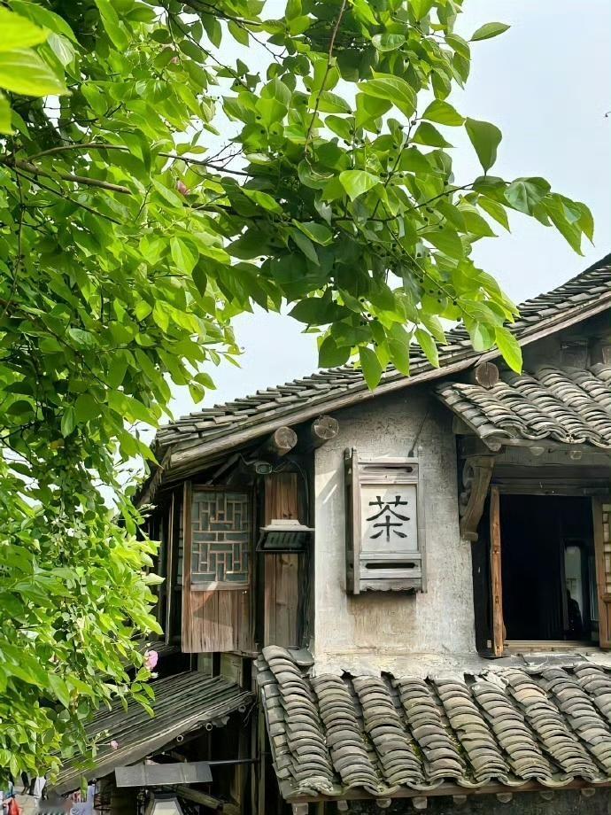 不问人间烟火事，轻煮时光慢煮茶。来点绿色养养眼吧！