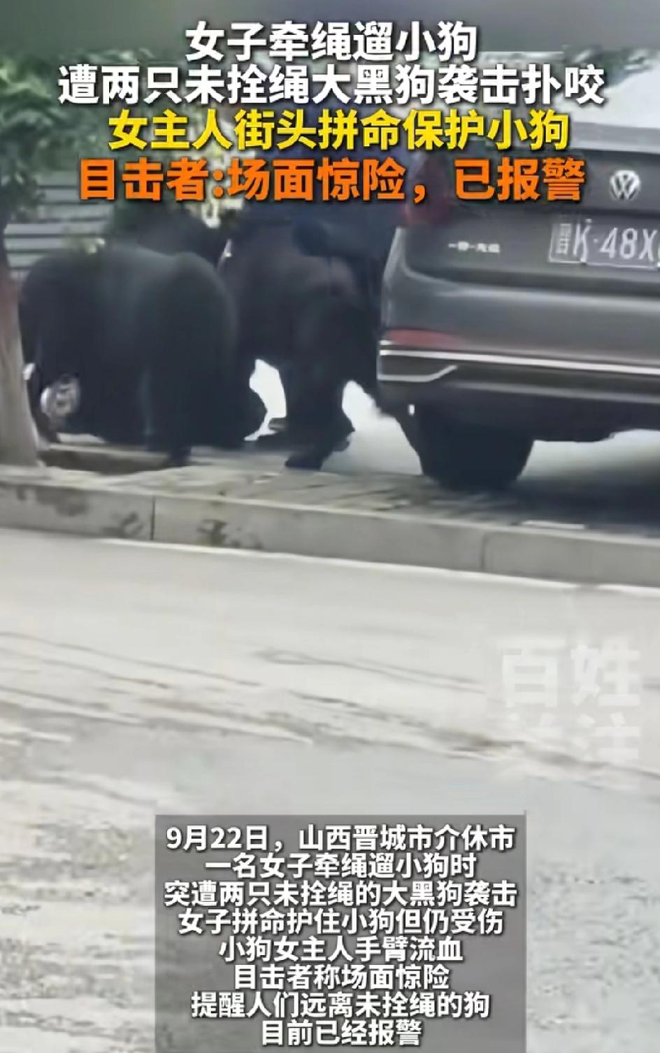 想不通为什么大型犬类出门不栓狗绳！因为这样发生的悲剧还少吗？但是狗主人似乎并