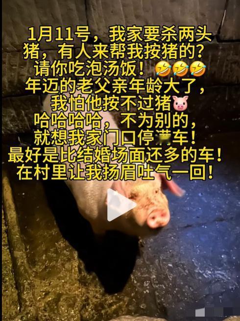 重庆合川一女孩发视频称家里要杀年猪，问有没有要来帮忙杀猪的，最好开车来，撑个场面