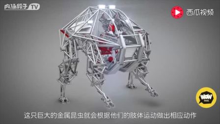 15685162366538497860.jpg?id=0