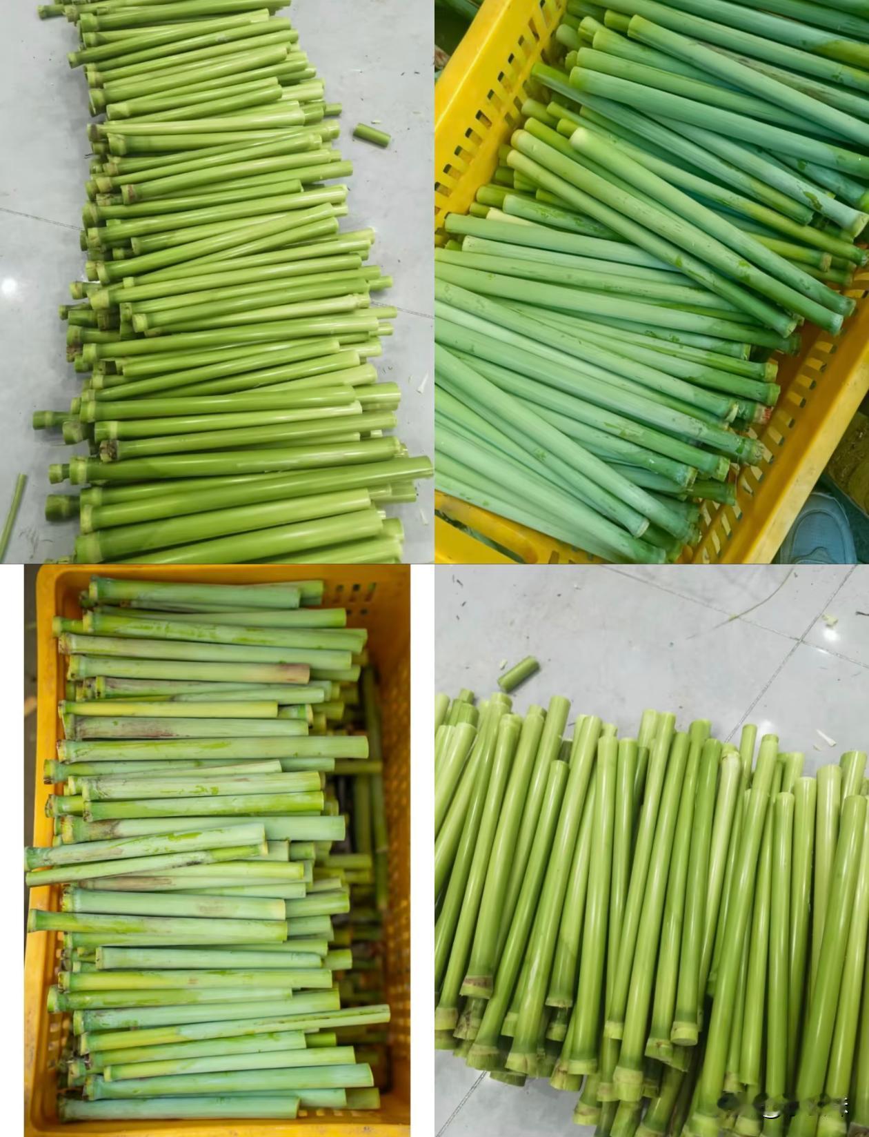 这又是谁的童年，有谁小时候吃过的？