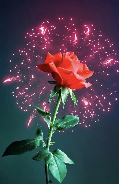 真爱无关世俗！这对情侣的故事，把“双向奔赴”写得好暖最近刷到一对情侣的