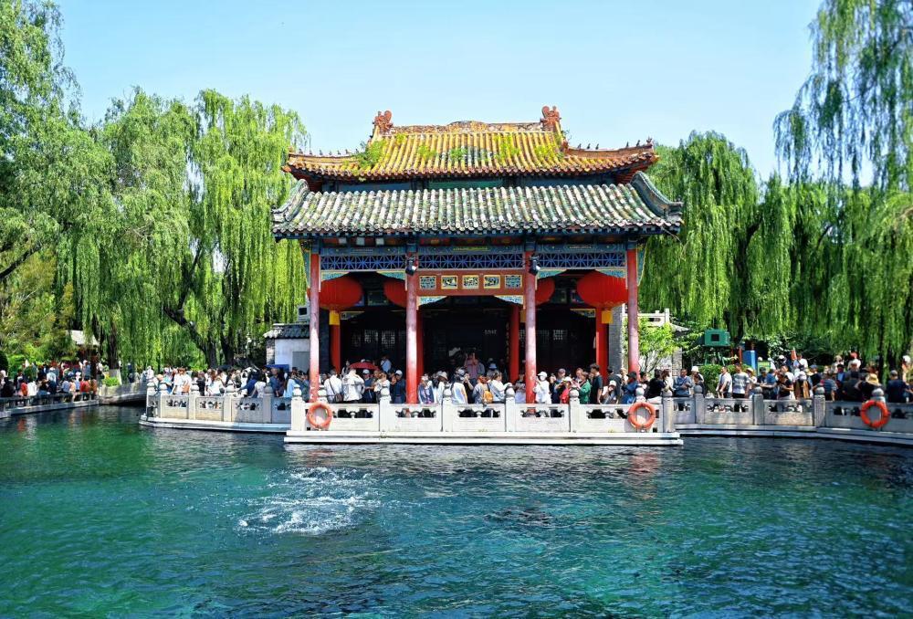 初夏泉韵浓，趵突泉水位迎来“五连涨”！近日，泉城充沛的降水持续涵养地下水系，为泉