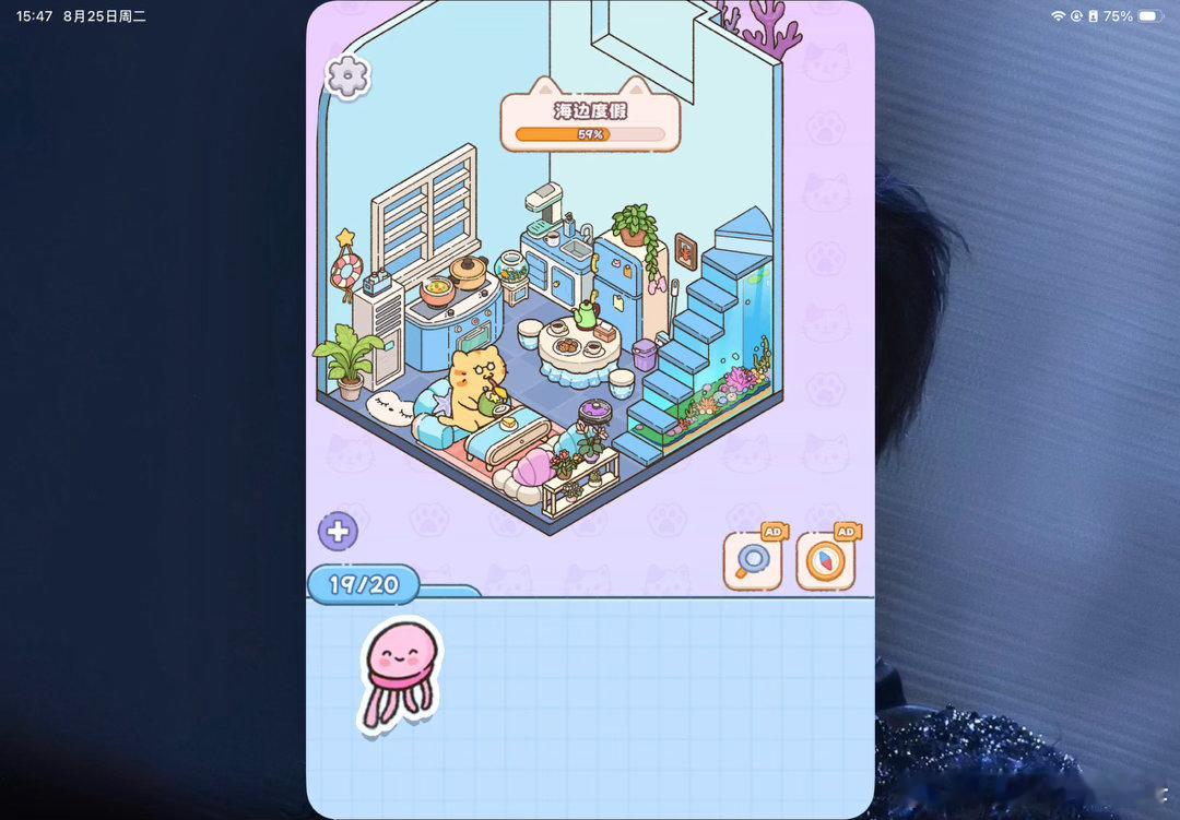 这个又放哪里