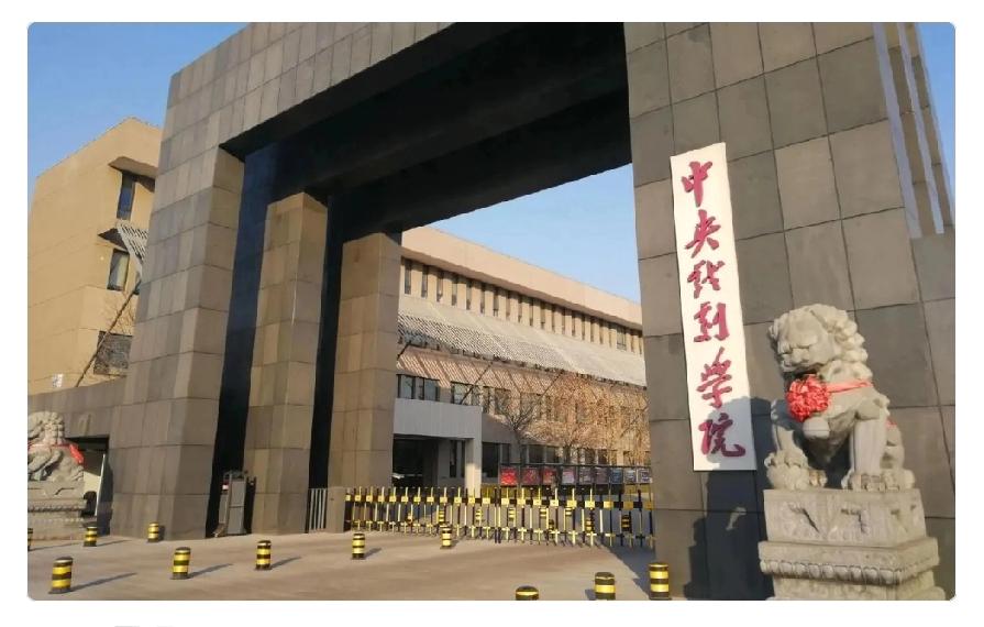 我大胆猜测刚刚投案的王鑫和陈刚一定是有无法兜底的大事件要发生王鑫，中