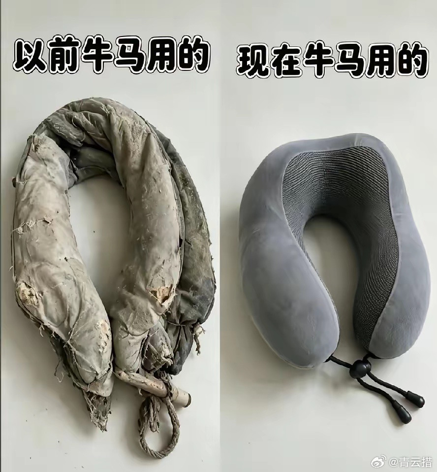 艹，有点过于形象了。​​​