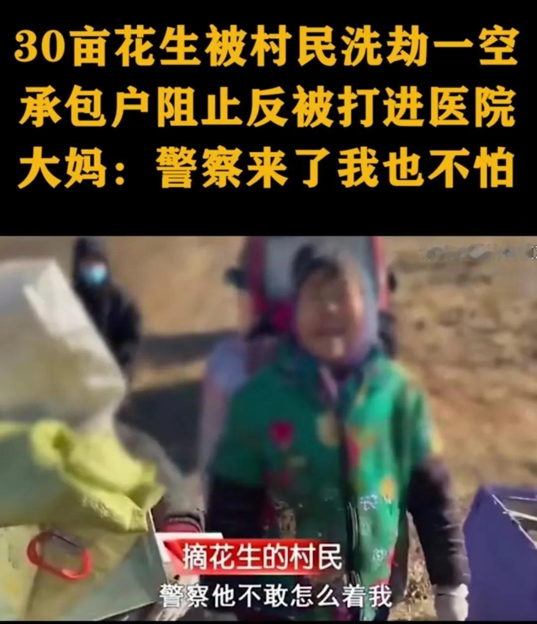 “这位大妈火了”！河北廊坊，男子承包30亩地种花生，却在一天之内被当地村民洗劫一