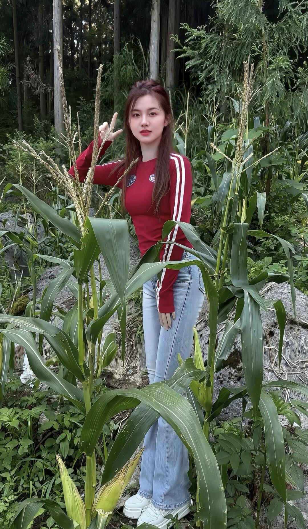 这姑娘在玉米地里比了个“V”。