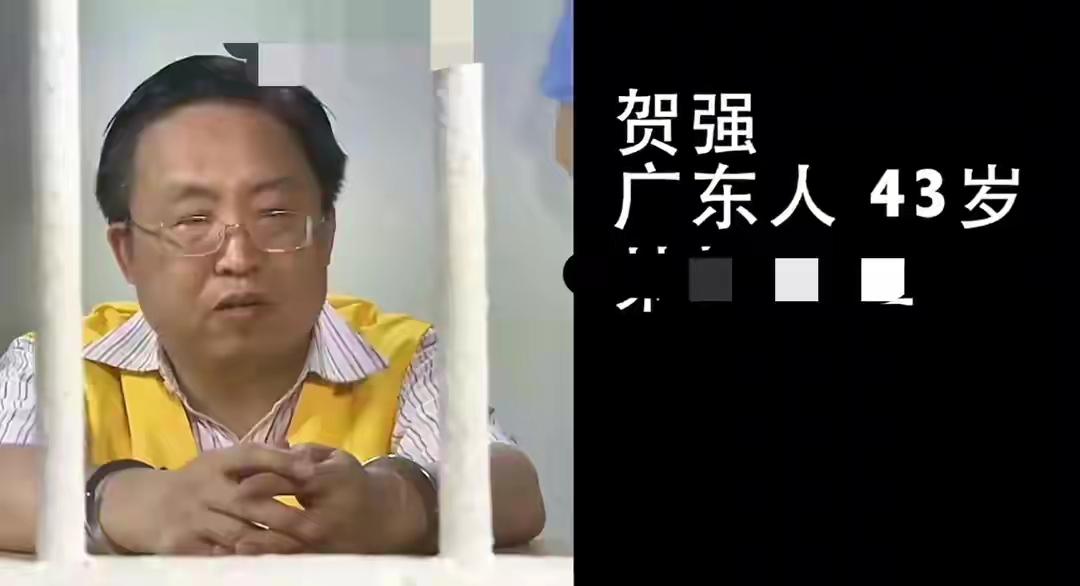 西门大官人雇凶杀害金莲小姐姐？2014年4月30日，国企会计杨慕晴住进了广