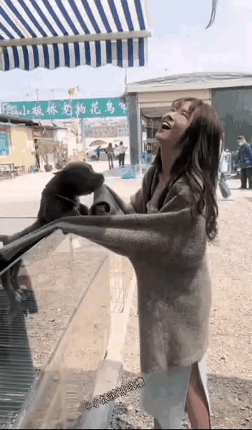 两只小狗一起“抢人”，摆明了就是：选我选我！把我带走！谁能拒绝这种双向奔赴