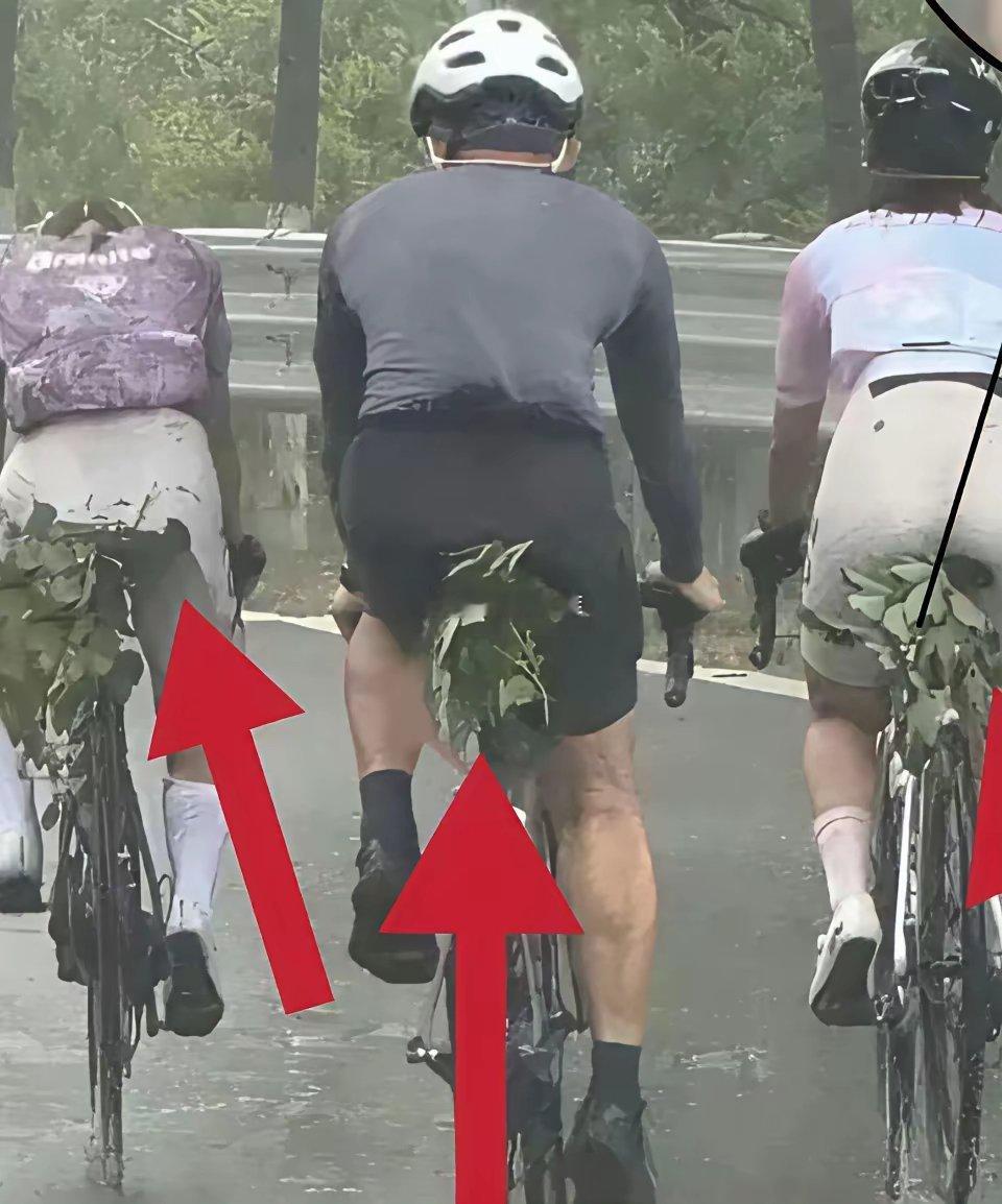 马路上的一幕惊呆了