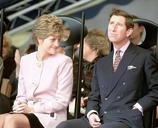 戴安娜这眼神，意味深长呀！这是戴安娜和查尔斯，最后一次同框活动，也是他们彻底在