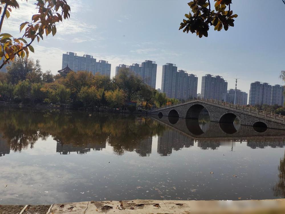 告诉所有女性朋友一个残酷的事实：不要小看基因的强大，尤其是男孩，长大以后会跟他的