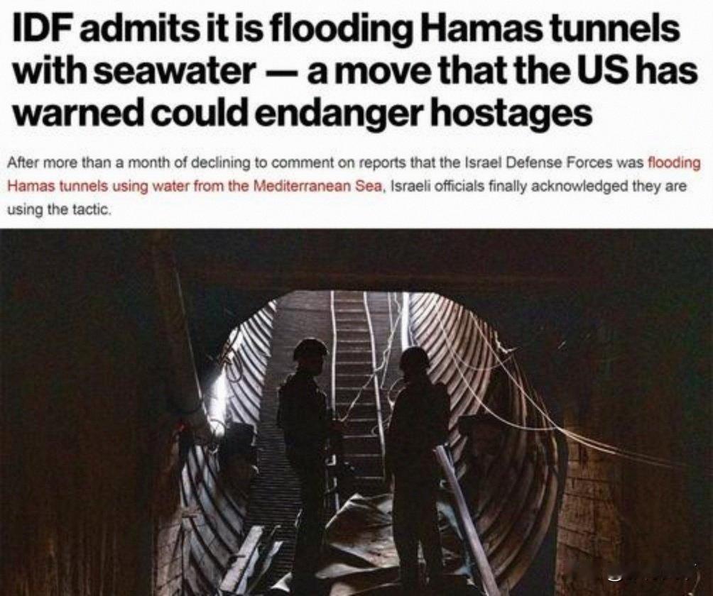 哈马斯的地道到底是谁挖的，档案迟早会解密，但以加沙人的能力绝对难以设计建造复杂地