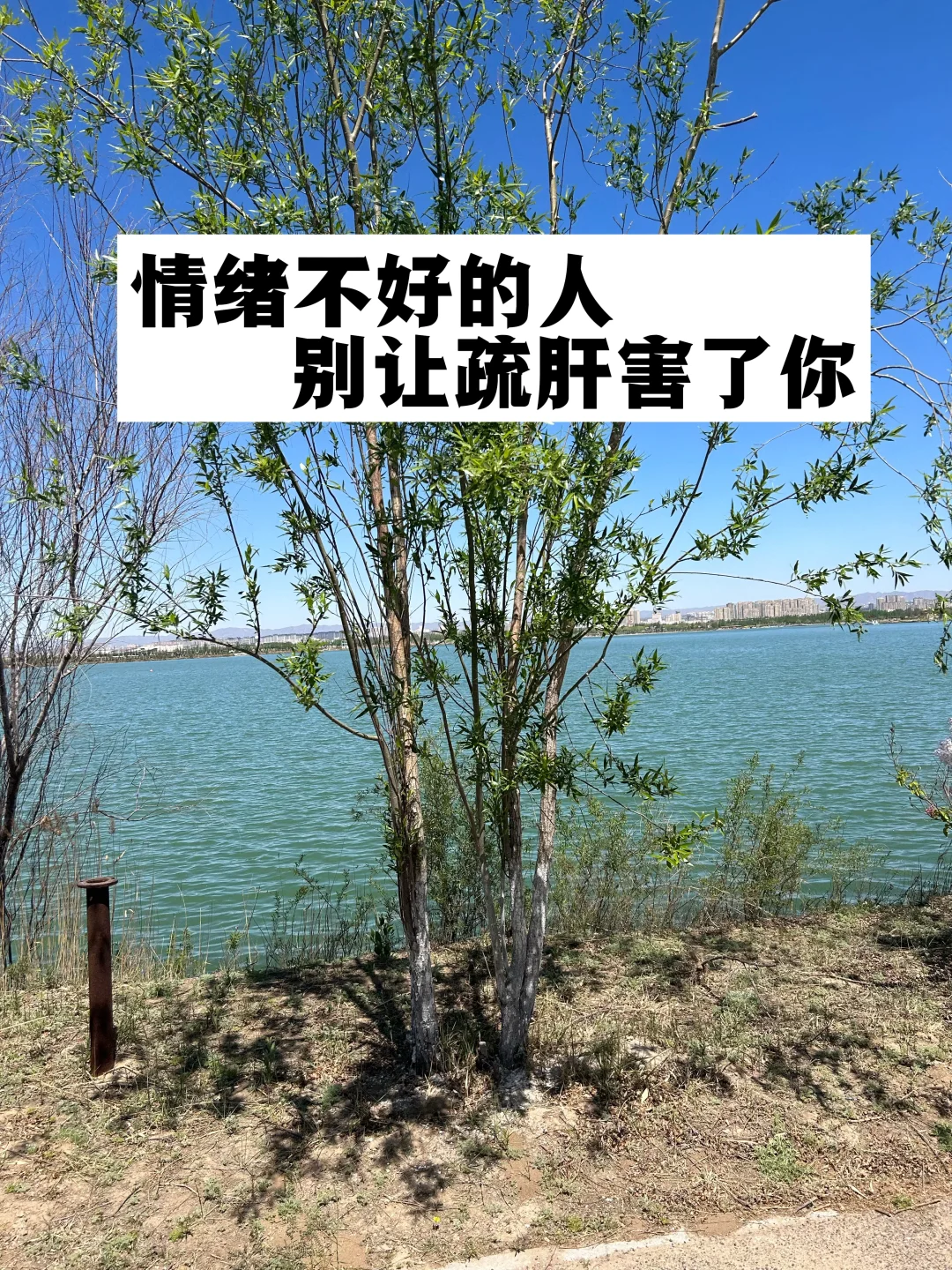 情绪不好的人，别让疏肝害了你.