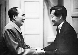 毛主席接见杨振宁，都谈了些什么？1973年的中国，正处于一个特殊的历史时期，中