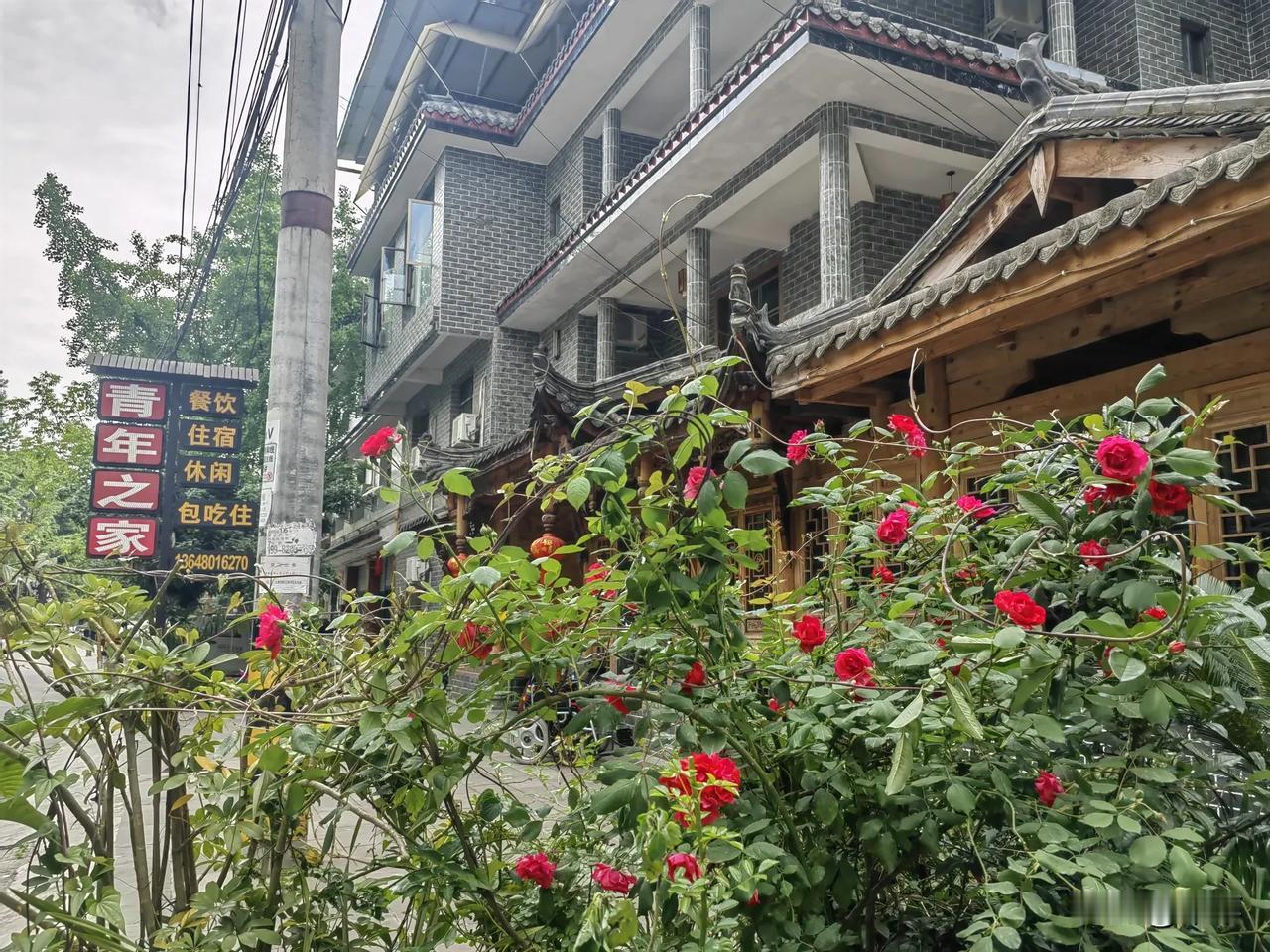 今从空气清新、环境优美的青城人家回到眉山家。青城山下“青城人家”是去了还