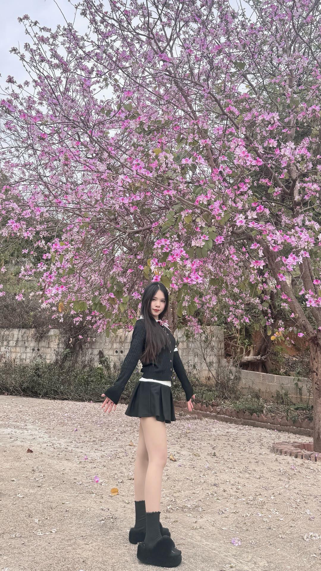 分享今日随手拍的照