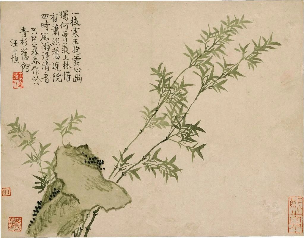 【花卉图册】汪士慎​​​