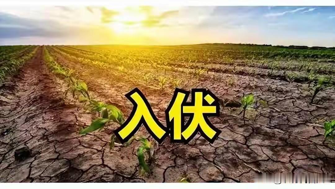 15号入伏，建议：少吃猪牛肉，多吃3种，润燥不上火，安康过夏再有几天就入伏