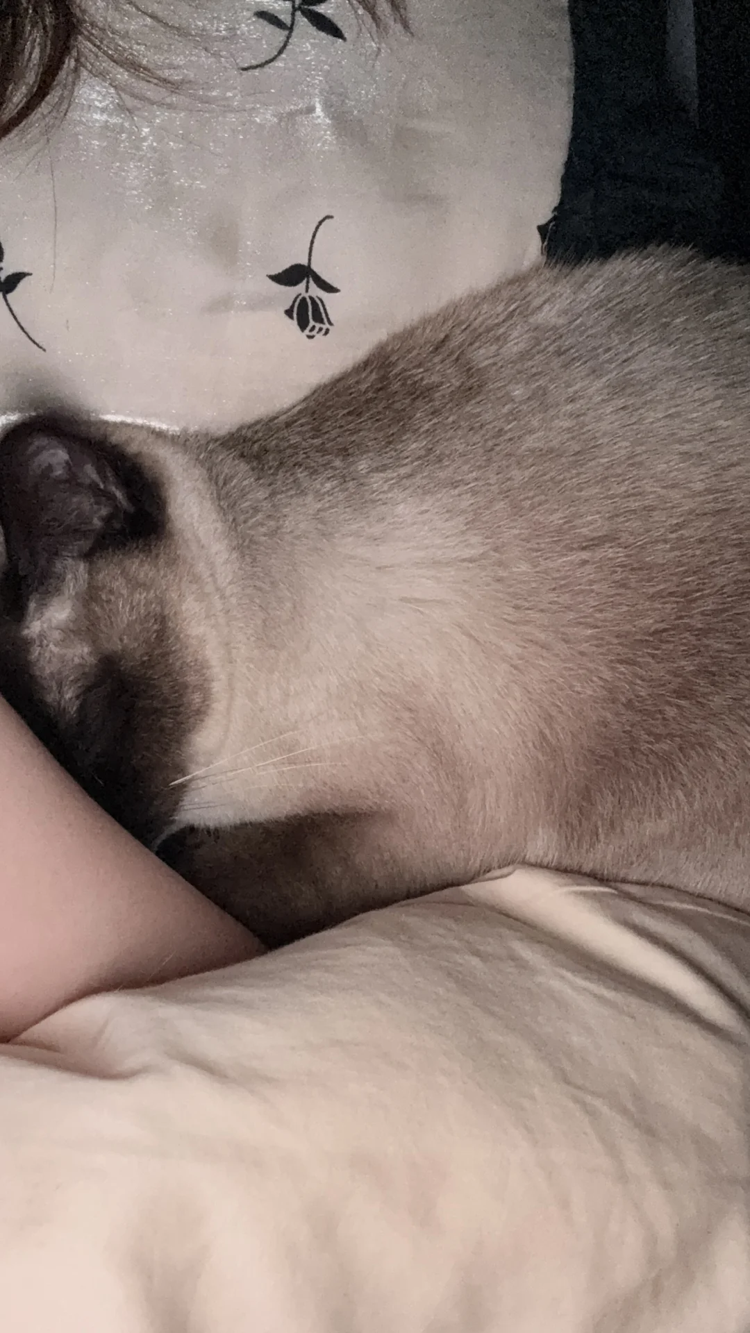 有一种被需要的感觉