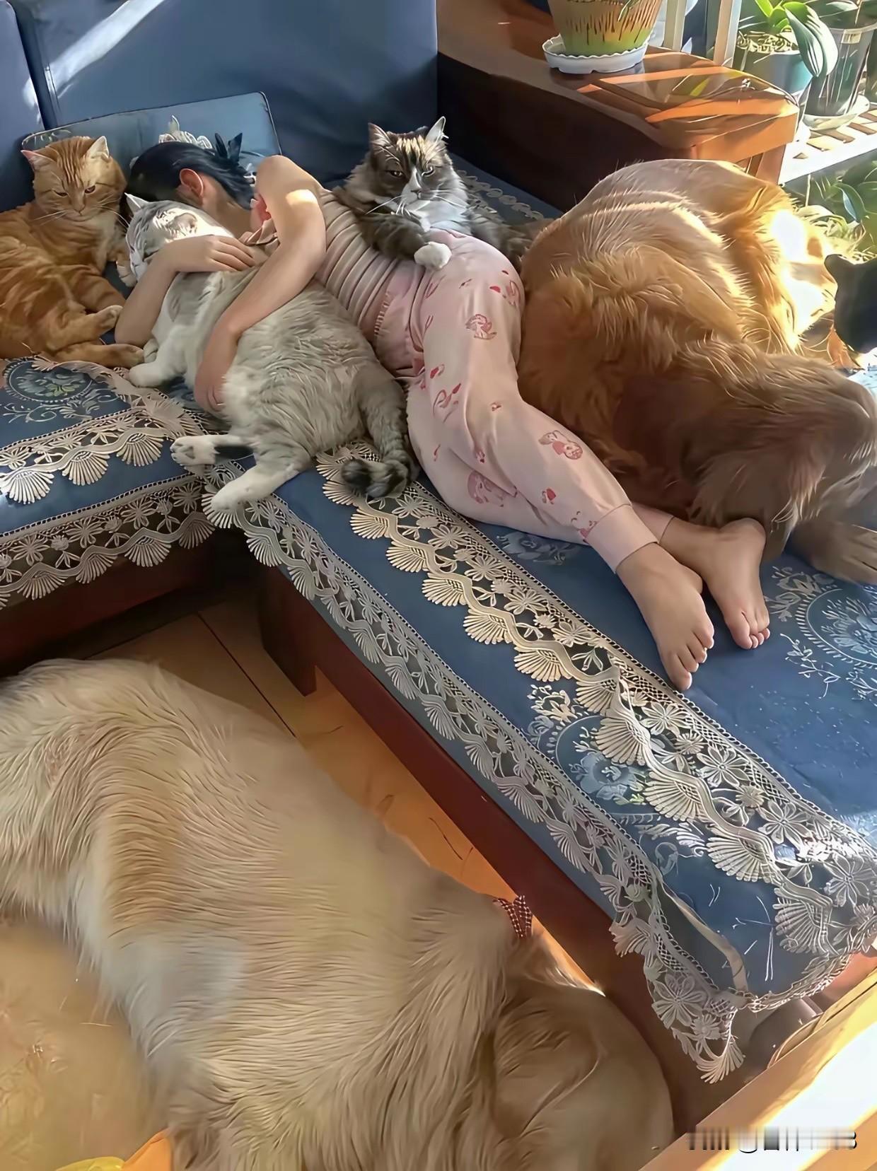 女孩和猫，狗睡在一个房间，大家会有什么感想？女孩喜欢动物，这个没有问题，但也要