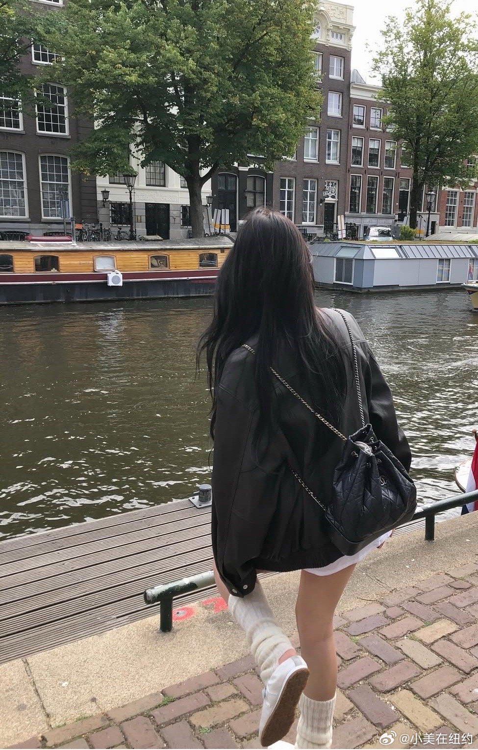 放假回老家的时候，在路上碰到很多狗挡住了路有点担心它们会咬我，但是看到我家的狗子